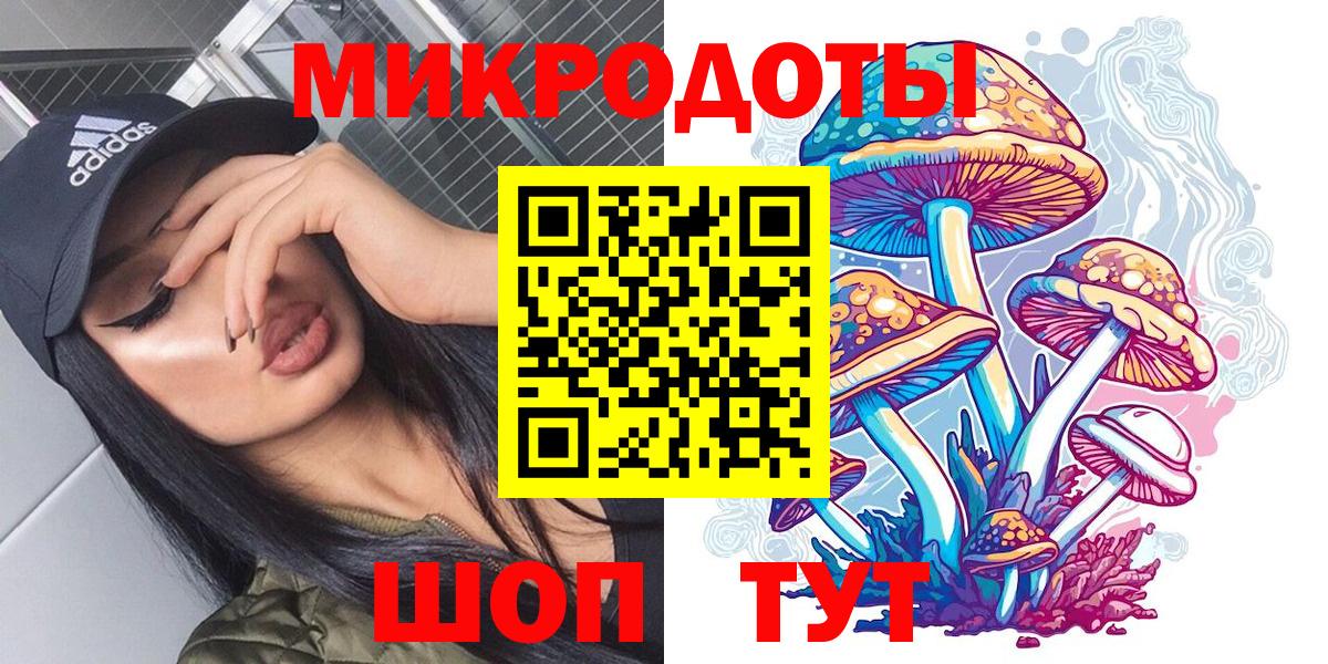 Шебекино  Псилоцибиновые грибы MAGIC MUSHROOMS  наркошоп  Вход с VPN 